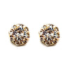 Crystal Stud Earring