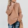 Turtle Neck Autumn Sweater