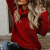 Turtle Neck Autumn Sweater